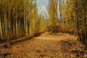 عکس/ جلوه‌گری پاییز در طبیعت ارومیه