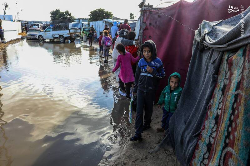 عکس/ حال و روز آوارگان غزه بعد از بارش شدید باران