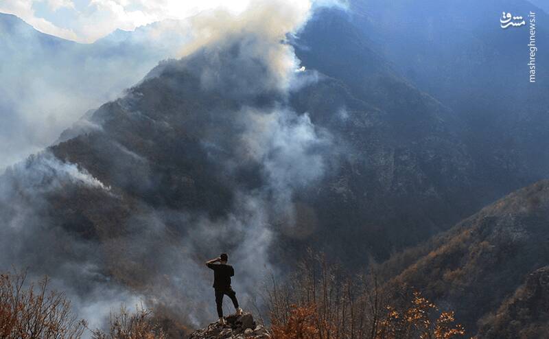 عکس/ آتشسوزی جنگلهای روستای الیت چالوس