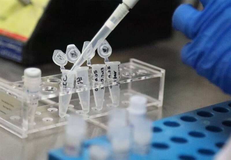 محصول،بيماران،كاهش،توليد،پيوند،درماني،قيمت،جفت،داروهاي،دلار، ...