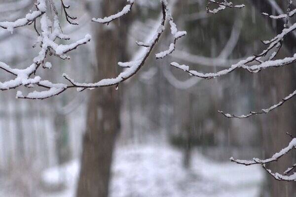 تصاویری از بارش برف در روستای زرمان فیروزکوه