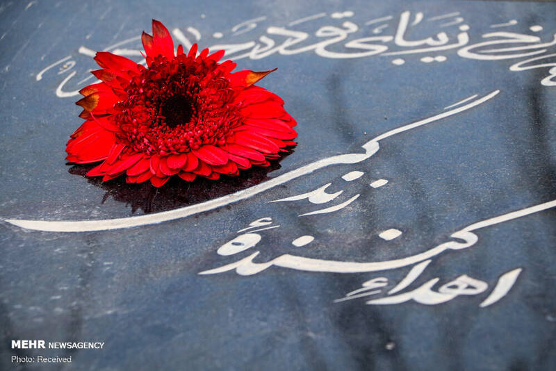 مرگ،مغزي،عضو،اهداي،كما،مغز،نفر،نجات،بيمار،عملكرد،جان،انجمن،ا ...