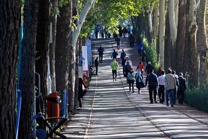 راز طول عمر سالمندان؛ پیادهروی کوتاه و منظم تنها با ۴۰۰۰ قدم
