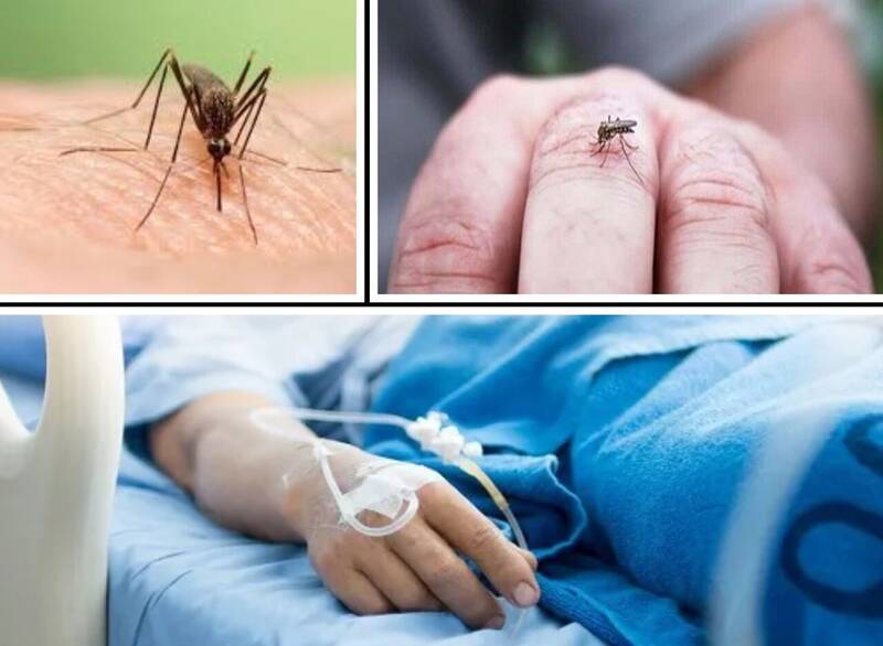 مداخلات،پژوهش،اجتماعي،سلامت،نتايج،محلي،كنترل،آموزش،نهادهاي،ط ...