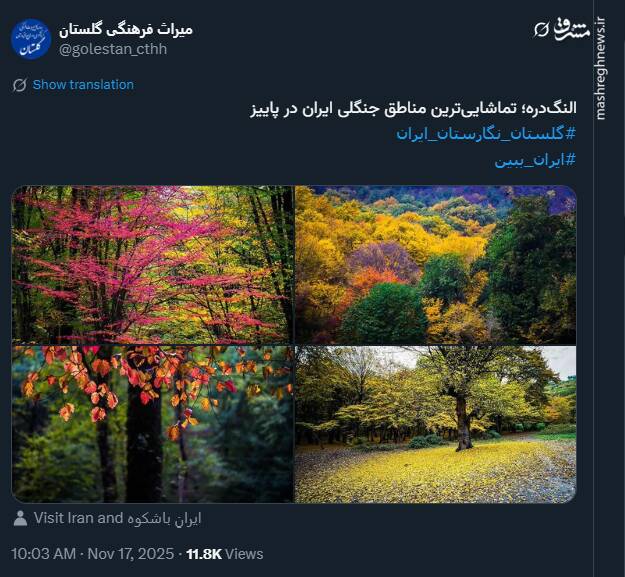 النگ‌دره؛ تماشایی‌ترین مناطق جنگلی ایران در پاییز