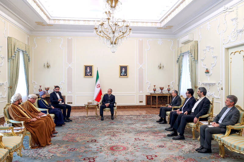 عکس / تسلیم استوارنامه سفرای کشورها به رئیس جمهور 13