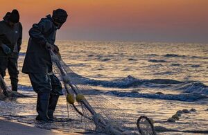 عکس/ صید ماهی در مازندران