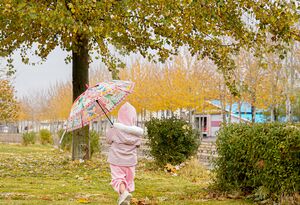 عکس / رخ‌نمایی پائیز در لرستان