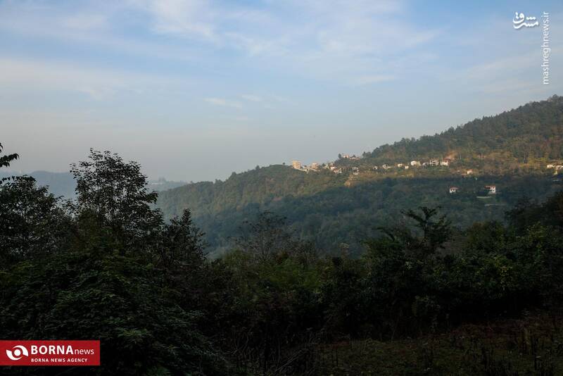 عکس / طبیعت رامسر 15