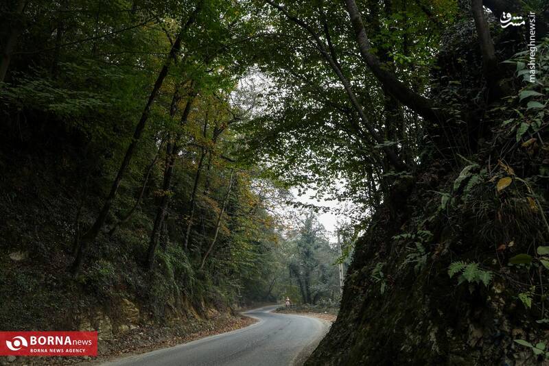 عکس / طبیعت رامسر 13