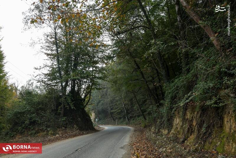 عکس / طبیعت رامسر 9