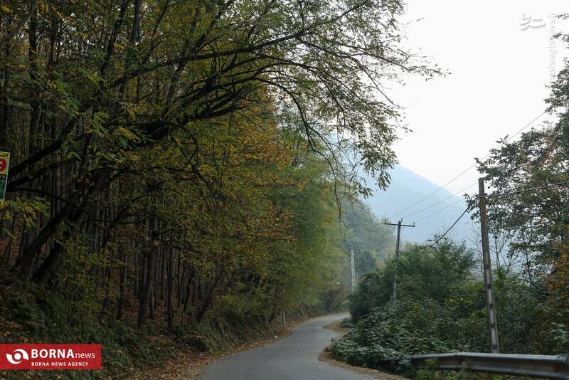 عکس / طبیعت رامسر 2