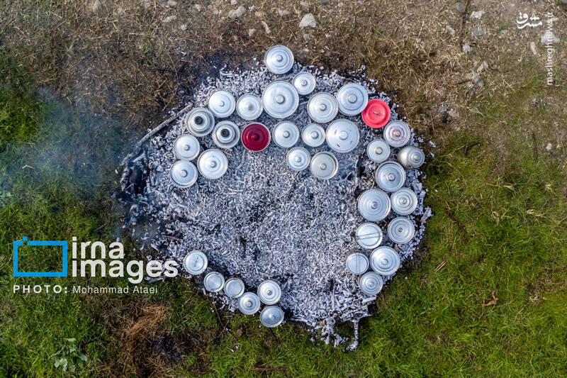 عکس / برداشت کیوی روی شانه زنان شمال 10