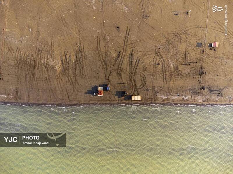 عکس / صید ماهی در مازندران 34