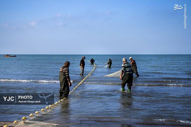 عکس / صید ماهی در مازندران 33