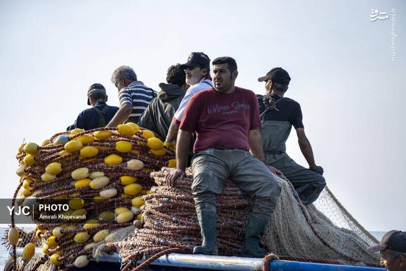 عکس / صید ماهی در مازندران 32