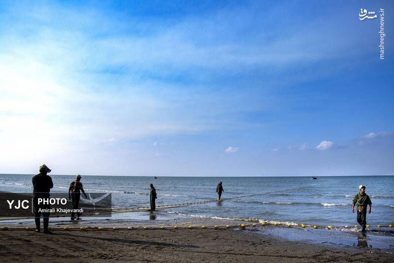 عکس / صید ماهی در مازندران 30