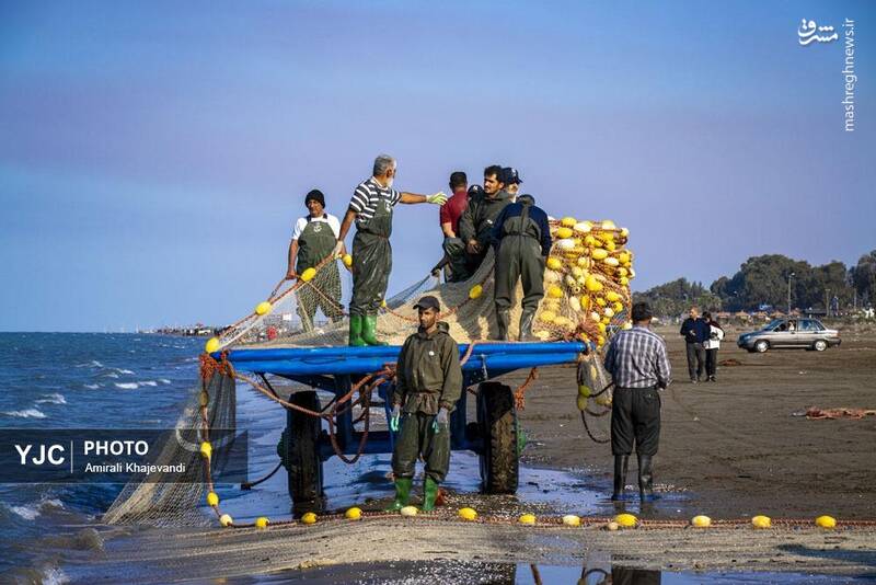 عکس / صید ماهی در مازندران 29