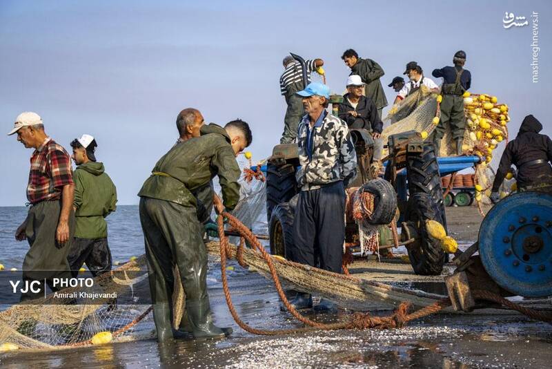 عکس / صید ماهی در مازندران 27