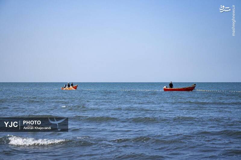 عکس / صید ماهی در مازندران 24