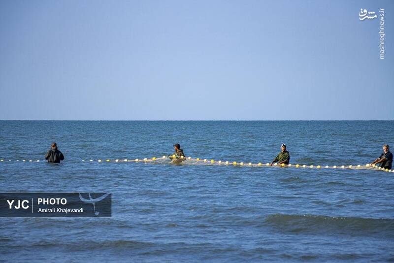 عکس / صید ماهی در مازندران 21