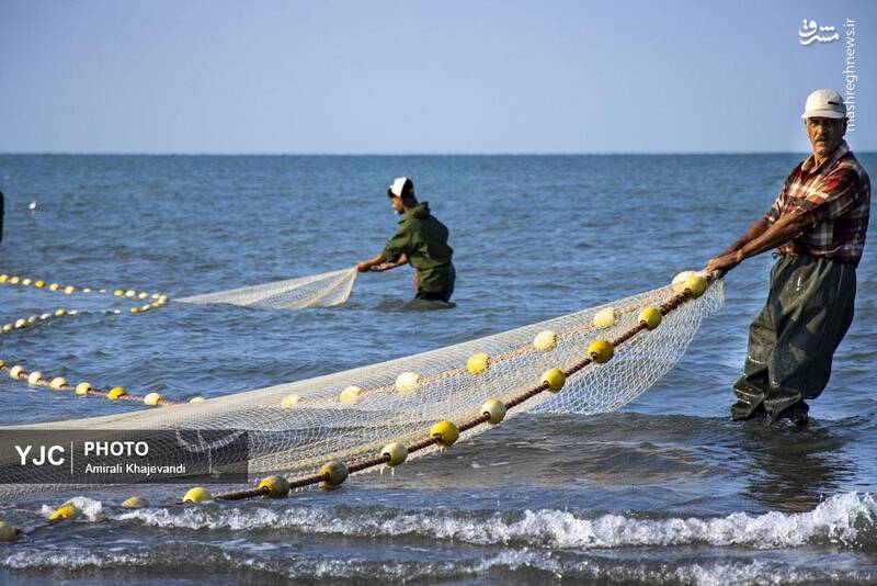 عکس / صید ماهی در مازندران 20