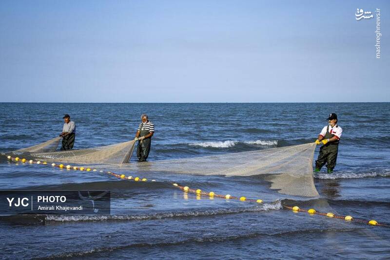 عکس / صید ماهی در مازندران 18