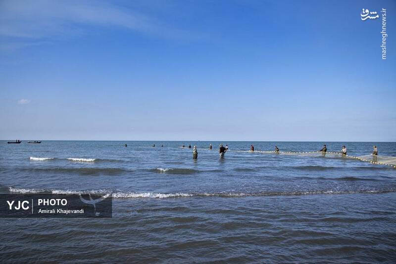عکس / صید ماهی در مازندران 16