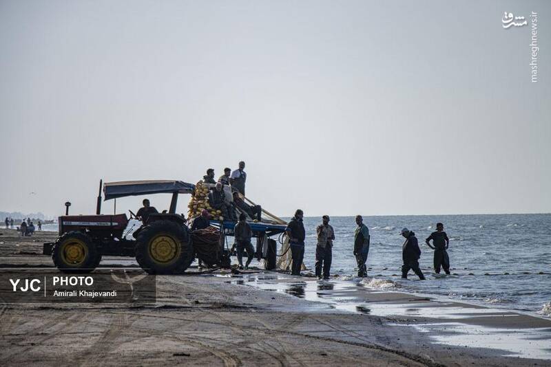 عکس / صید ماهی در مازندران 15