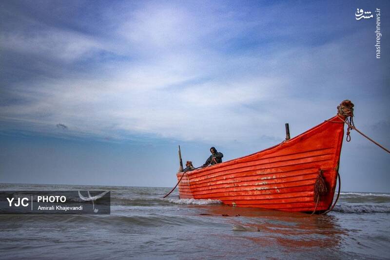 عکس / صید ماهی در مازندران 14