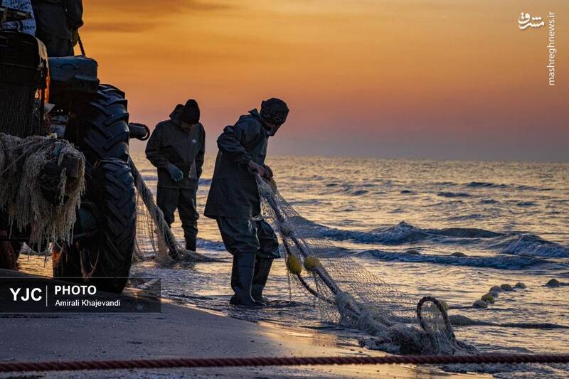 عکس / صید ماهی در مازندران 17