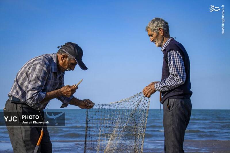 عکس / صید ماهی در مازندران 6