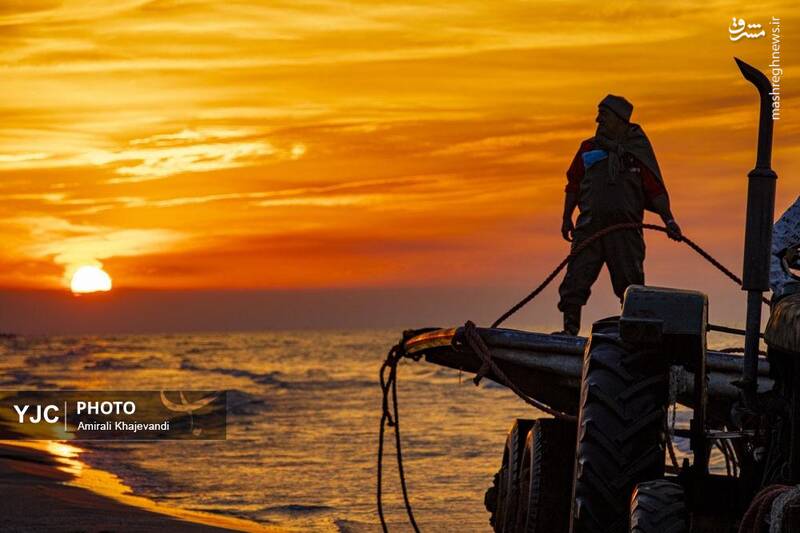 عکس / صید ماهی در مازندران 3