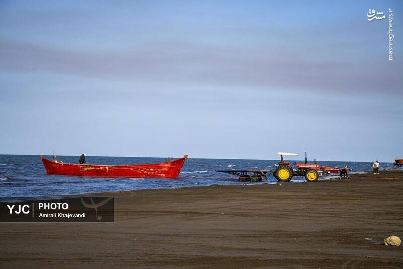 عکس / صید ماهی در مازندران