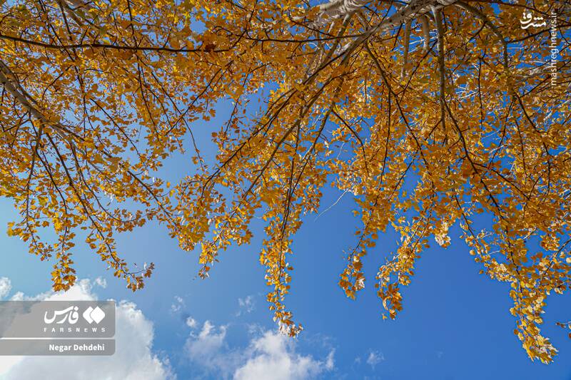 عکس / رخ‌نمایی پائیز در لرستان 13