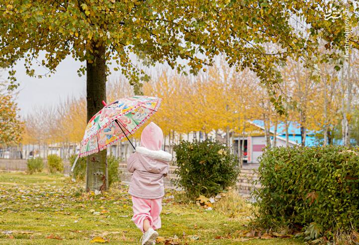 عکس/ رخ‌نمایی پائیز در لرستان