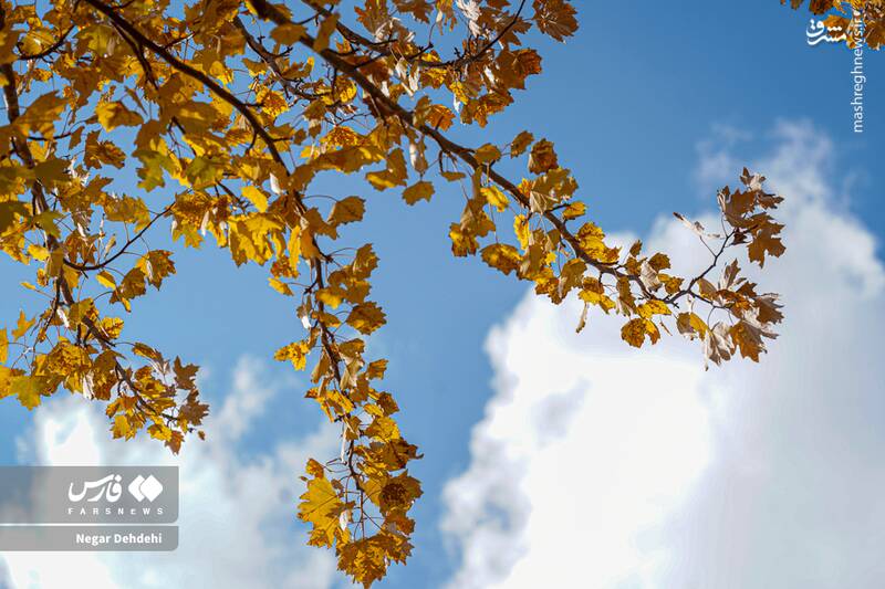 عکس / رخ‌نمایی پائیز در لرستان 2