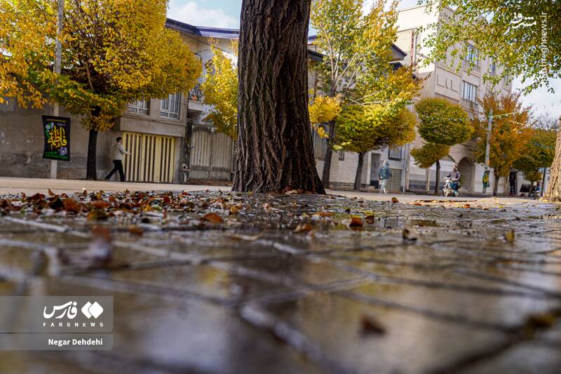 عکس / رخ‌نمایی پائیز در لرستان 3