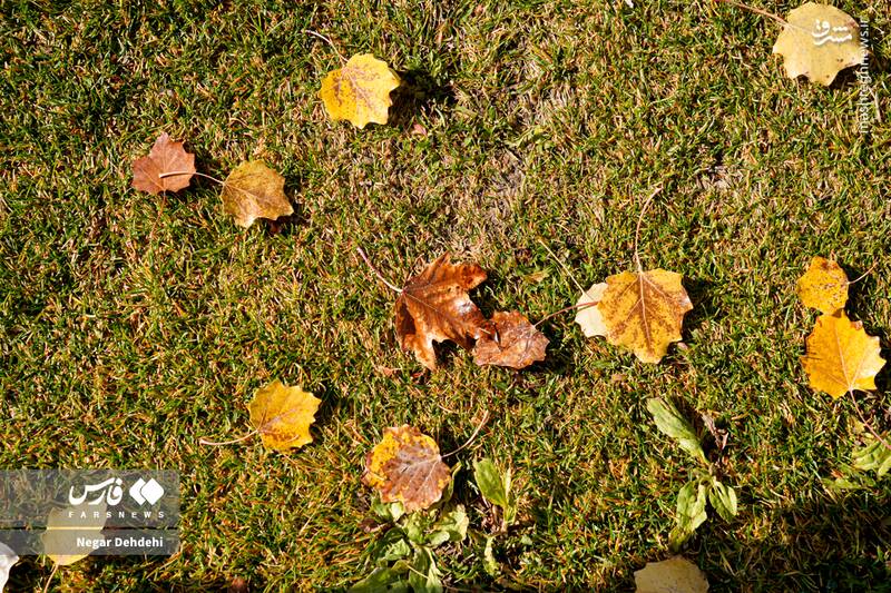 عکس / رخ‌نمایی پائیز در لرستان 6