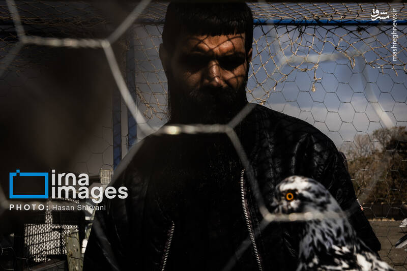 عکس / جمعه‌ها در قفس 9