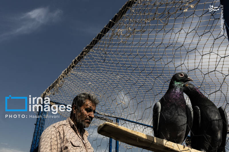 عکس / جمعه‌ها در قفس 14