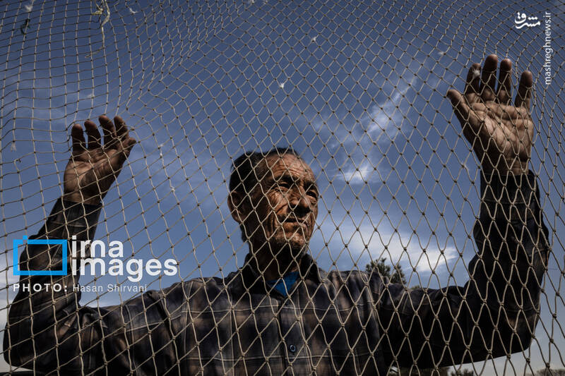 عکس / جمعه‌ها در قفس 7