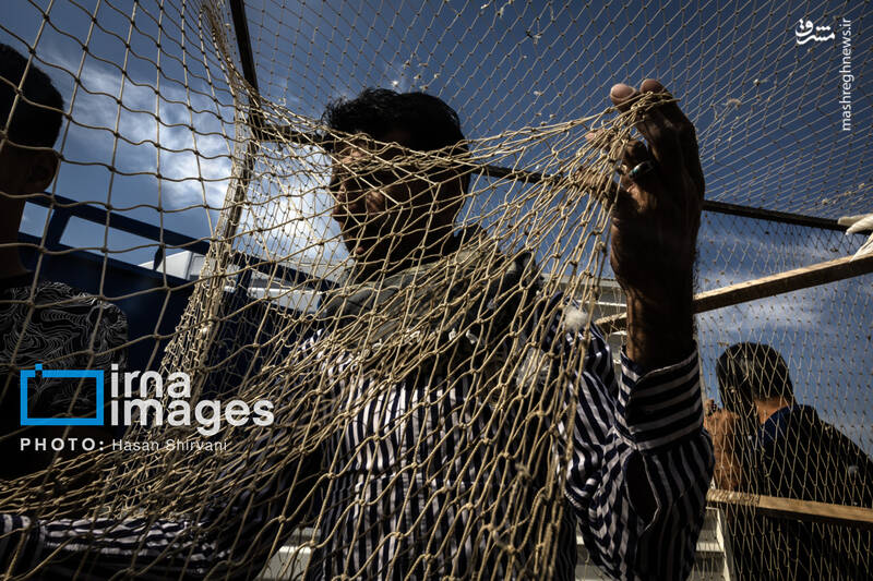 عکس / جمعه‌ها در قفس 6