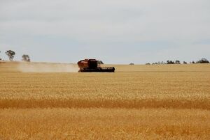 خشکسالی فصل کاشت را در ترکیه به تعویق انداخت