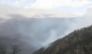 اعزام هواپیمای ایلوشن 40 تنی برای مهار آتش‌سوزی جنگل‌های الیت