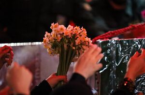 عکس/ آیین استقبال از پیکرهای مطهر شهدای گمنام در کاشان