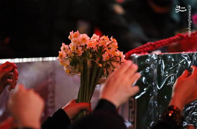 كاشان،استقبال،فاطميه