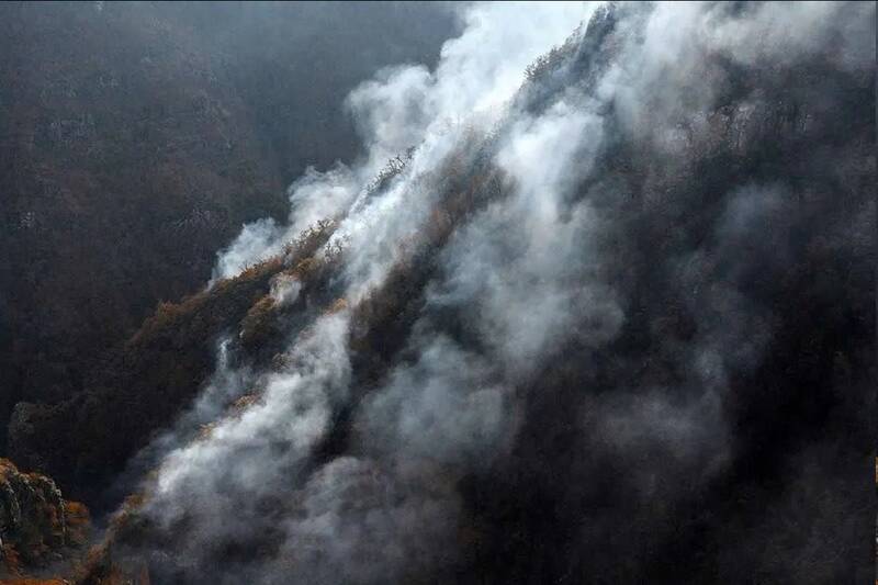 دادگستری مازندران: مسئولانی که در مهار آتشسوزی الیت قصور کنند، مجازات میشوند