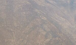 فیلم/ نمای هوایی از آتش‌سوزی الیت