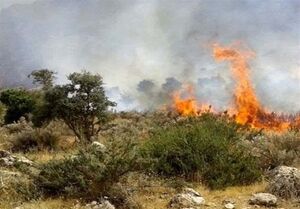 تازه‌ترین اخبار از عملیات اطفای حریق جنگل‌های الیت / دامنه آتش محدود شد / تیم‌های صخره‌نوردی به میدان آمدند